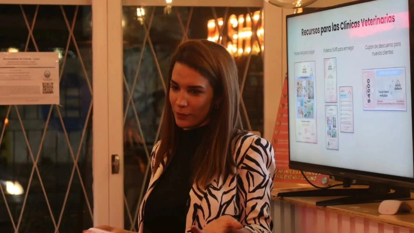 Servicios Background